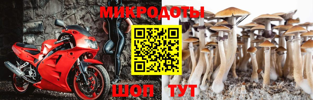 Галлюциногенные грибы ЛСД Грязи
