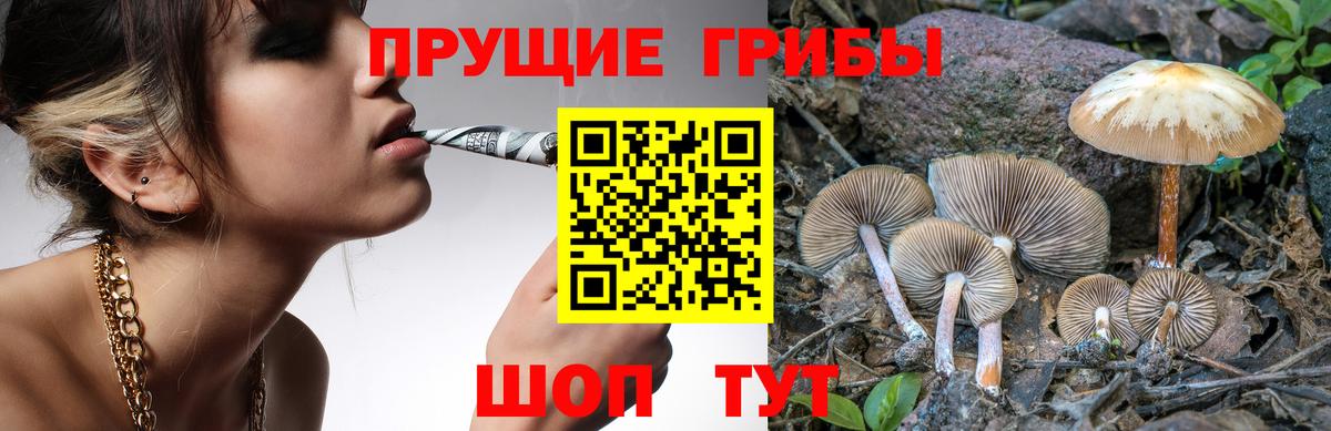Галлюциногенные грибы MAGIC MUSHROOMS  Вход с VPN  Грязи  Галлюциногенные грибы Magic Shrooms 